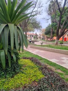 Nido del Altillo - 1