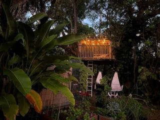 Miami Pool Cottage - 1