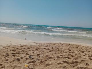 شالية العجمي هانوفيل - 1