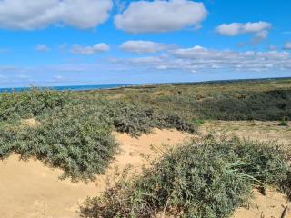 5 star holiday home in Løkken - 4