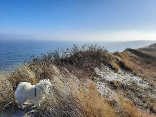 Tranquil Haven in Lyngsa - By Traum Ferienwohnungen - 1