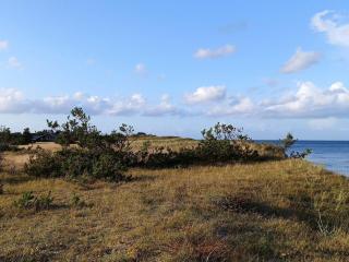 Tranquil Haven in Lyngsa - By Traum Ferienwohnungen - 4