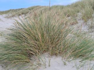 6 person holiday home in Pandrup-By Traum - 5