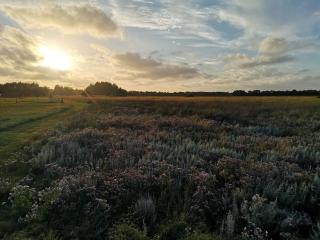 6 person holiday home in Asaa-By Traum - 4