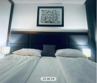 Harry-apartments, Apart Hotel&spa Zoned Kopaonik - Special offer for Genius status for bookings during Early Booker Deal, additionally included parking, swimming pool and children under 13 stay free - 7