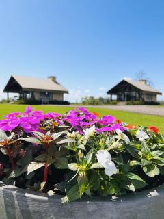 Vicença Glamping - 1