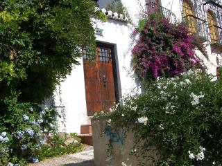 Alhambra Hill Apartments - Granada - 0