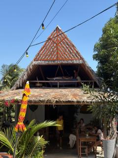 Jandaia Atins - 0