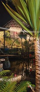 Cabaña en el arbol La Calera - 8