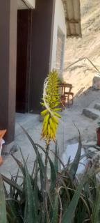 Autisha Cafe - 3