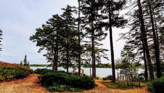 The Lodge at Seaside in Friendship - 8