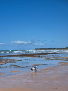 Casa Estrela do Mar - 5