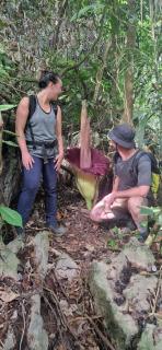 Tiga dara guest house jungle trekking - 6