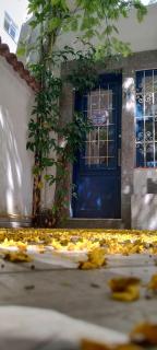 Farfalla São Manuel - 3