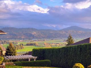 Beautiful Mountain Retreat with a View - 8