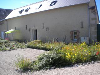 Maison rénovée près d'Orléans avec animaux admis - FR-1-590-583 - 7