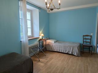 Maison rénovée près d'Orléans avec animaux admis - FR-1-590-583 - 2