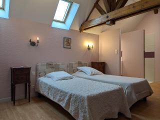 Maison rénovée près d'Orléans avec animaux admis - FR-1-590-583 - 1