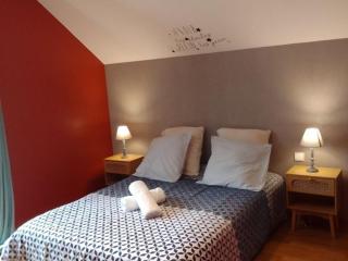 Grande demeure avec parc et WIFI, proche du Mans - FR-1-410-481 - 5