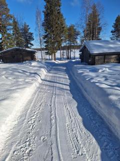 Deep Lake Cottage - 4