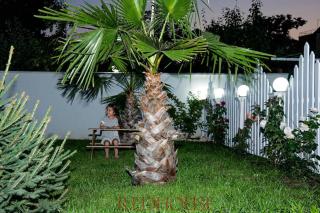 Red House Family Hotel - Ravda - 2