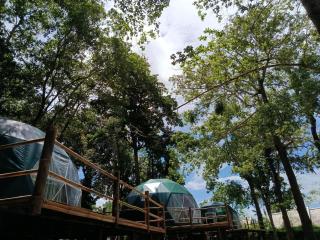 NATUR - Krabi Campsite Glamping & Camping - 9
