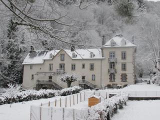 Domaine de la Jordanne - B&B - Saint-Cirgues-de-Jordanne - 8