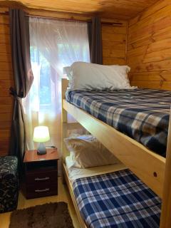 Cabaña Casa Victoria con Bosque,Río & Starlink Internet - 4