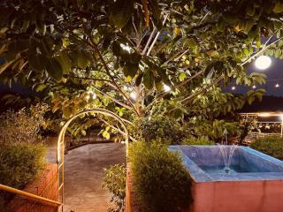 The Alphonso Mango County - 2