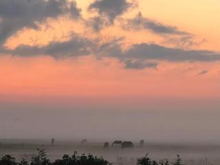 Ut ânker fan de Jong - 1