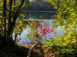 Badischer Neubau-Ruhe-Kunst-Natur - 9