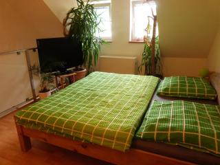Apartmán Susice - Sušice - 8