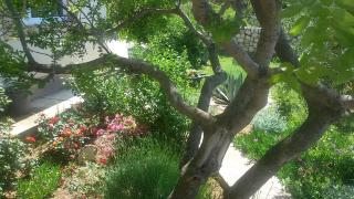 Bed & Breakfast Jugo - Novalja - 5