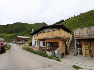Chalet in Zillertal near Ski Slopes - 2