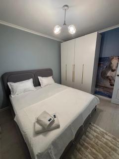 Aidana Apartments - 2