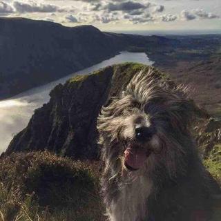 Evas cottage near Scafell - 5