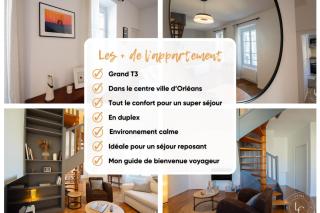The Lioness of Orléans Spacious & Bright 2-Bedroom - 1