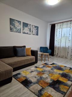 Central Comfort Apartment - 0