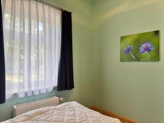 Ferienwohnung Otto der Reiche in Ballenstedt - Ballenstedt - 1