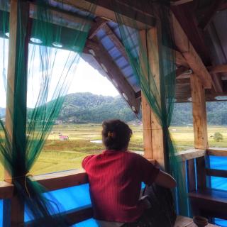 Stargaze Backpackers Ziro - 4