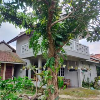 Rumah Bu Tari - 4