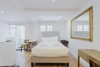 Bright Studio Flat with Private Patio Fulham - 4