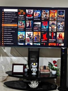 Fully furnished studio apartment - 7