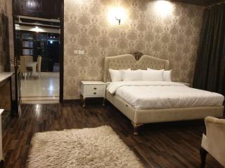 Royal Villa Islamabad - 2