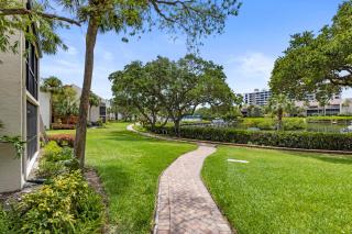 Midnight Cove II - Doveplum - 2