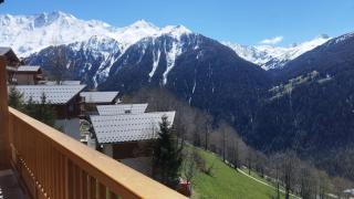 Paradiski proche des pistes plan peisey - 7