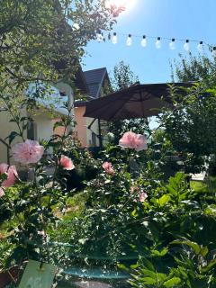 Aleeas CASA - 5