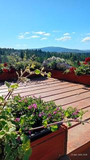 Harmony Retreat - 6