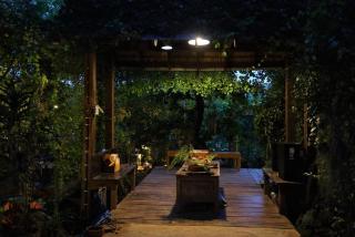 206 Wan Warn, 3 wooden houses in Kaeng Krachan Forest - 2