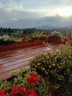 Harmony Retreat - 2